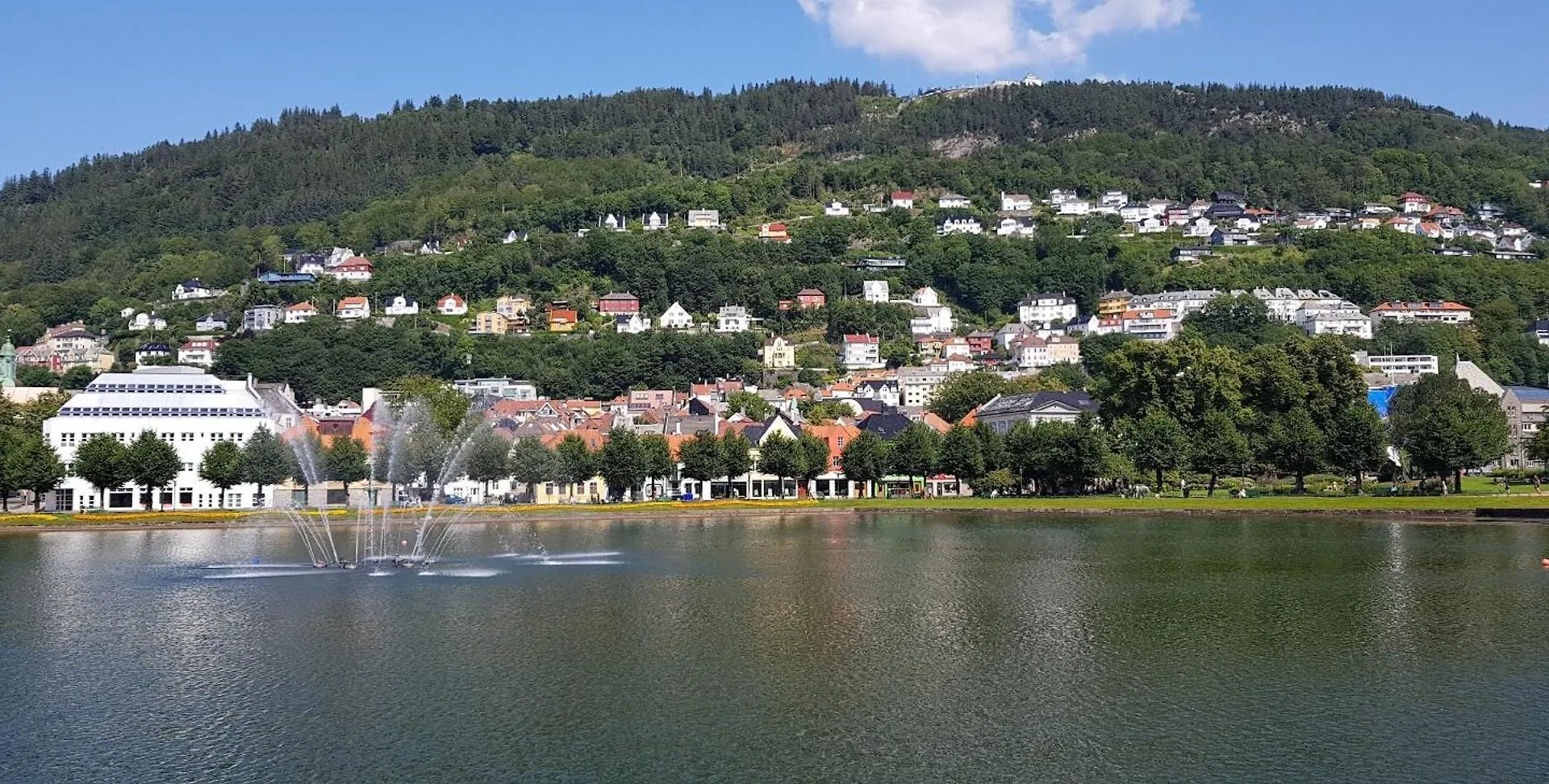 Top Apartment In The Centre Of Bergen