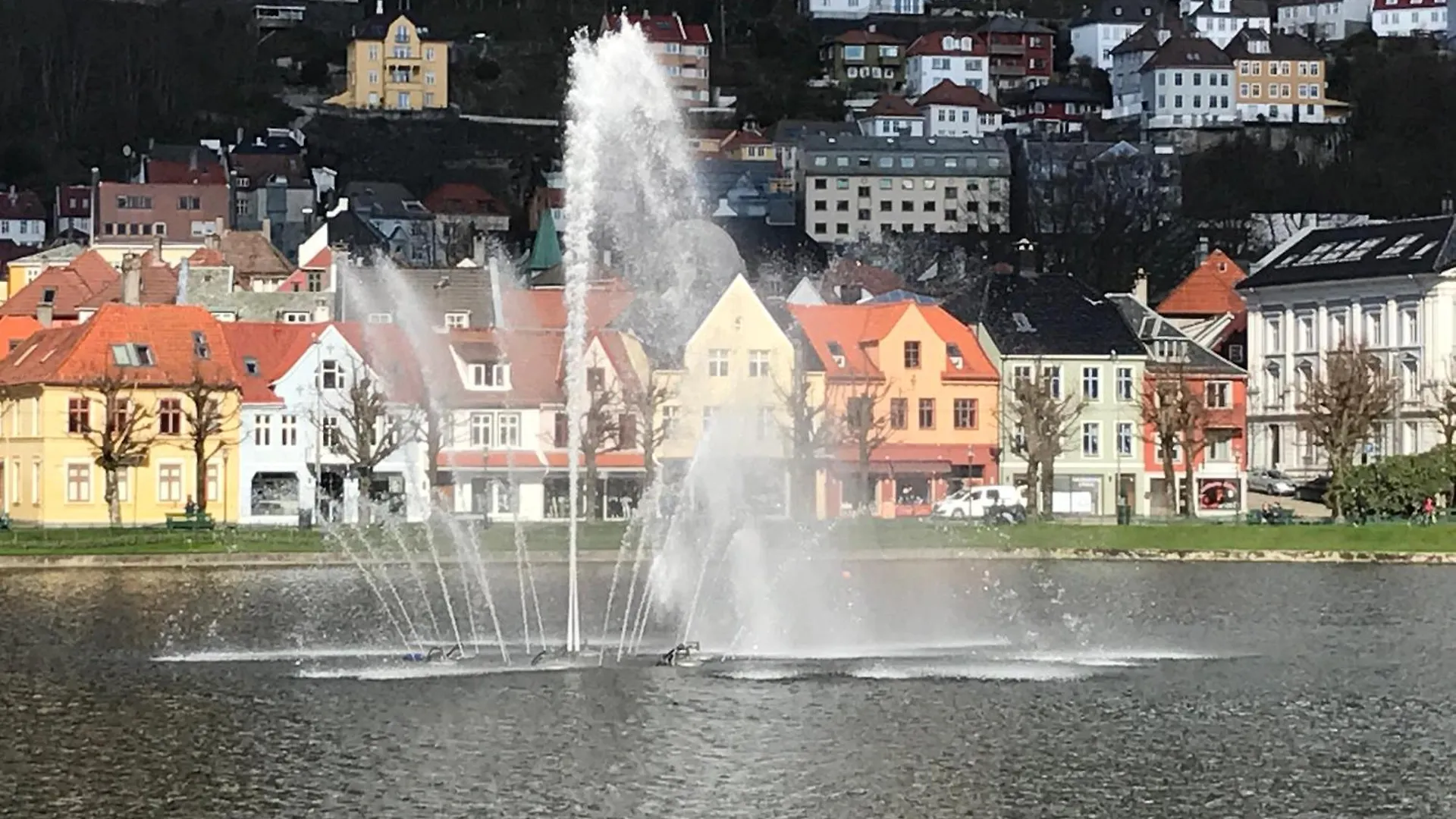 Top Apartment In The Centre Of Bergen