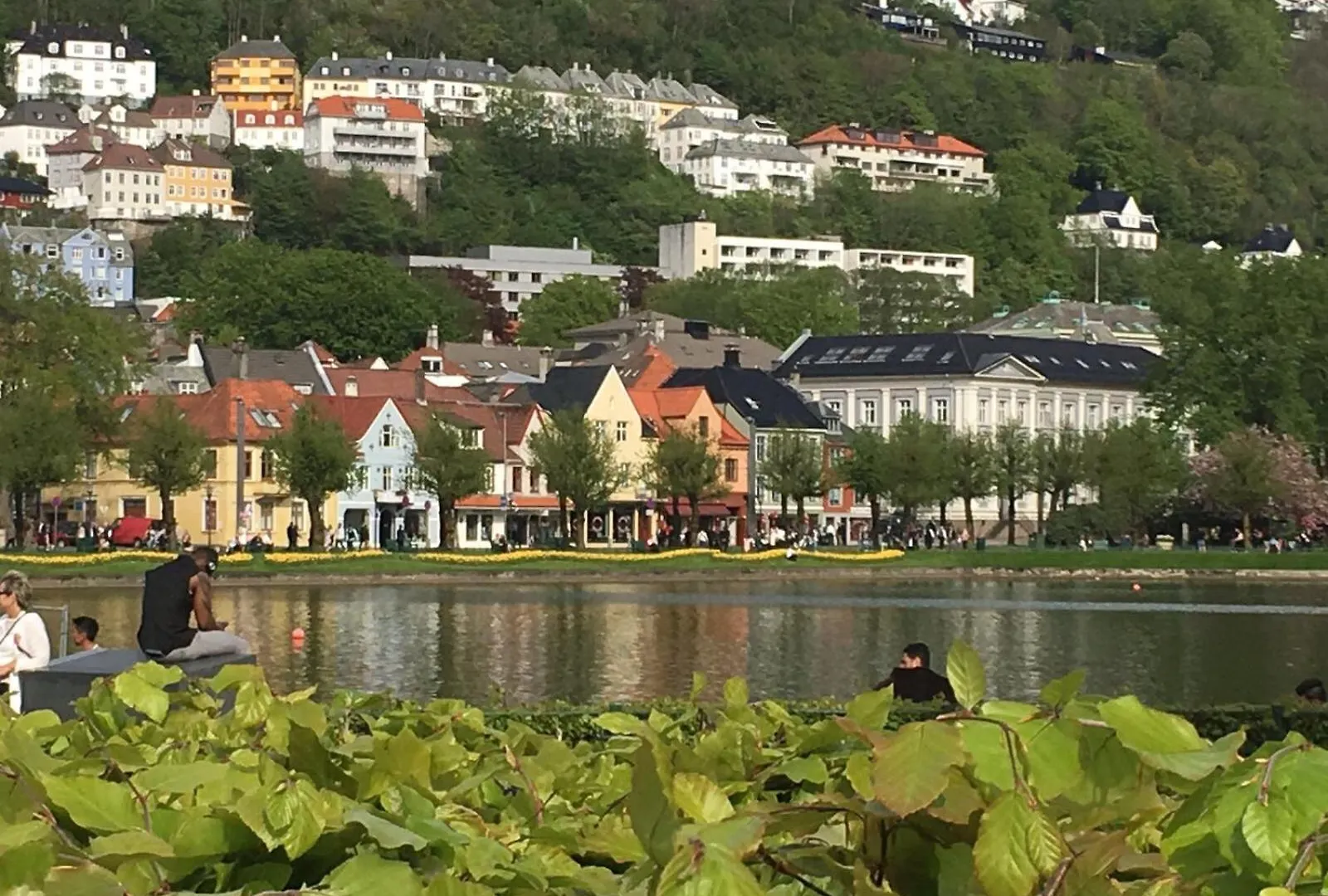 Top Apartment In The Centre Of Bergen